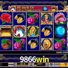 9866win bet